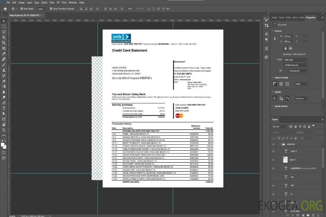 Modèle de relevé de carte de crédit bancaire USA Floride Silicon Valley au format Excel et PDF template